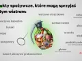 Granat wypełniony warzywami i owocami, symbolizujący produkty sprzyjające gazom przed okresem. Lista zawiera m.in. warzywa kapustne, strączkowe, cebulę, alkohol.